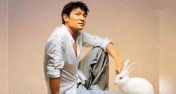 娱乐圈传奇巨星,娱乐圈传奇巨星的辉煌岁月